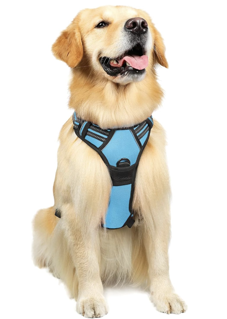 Dog Harness - Image 4