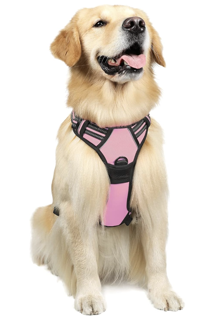 Dog Harness - Image 5