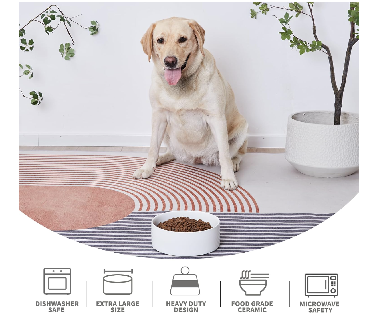 Ceramic Pet Bowl - Image 4